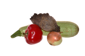 vegetable marrow isolated on white background