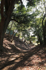 Fototapeta premium 小田原城総構遺構