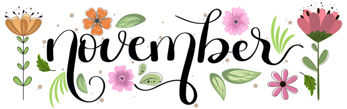 Hello November.  NOVEMBER month vector hand lettering, decoration with ornaments. Illustration month November. Welcome Autumn	
