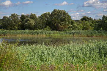 landscape near Old (Staryi) Lepel. Belarus