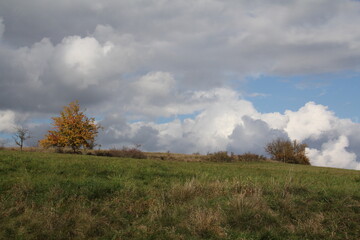 Obraz premium herbst