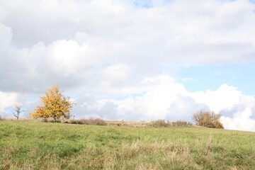 Fototapeta premium herbst