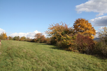 Naklejka premium herbst