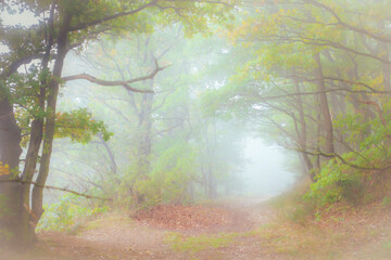 Frühherbst auf dem Mosel-Höhenweg