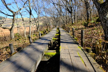 永遠に続く歩道