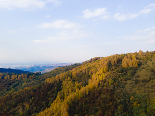 Drone photo taken over mixed forest in autumn in the mountains. A path among the trees in the mountains.
