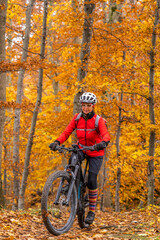 sympathetic active senior woman, riding her electric mountainbike in the gold colored autumn forests of the Swabian Alb