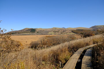 自然の中になる歩道