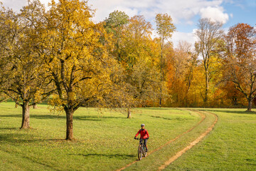 sympathetic active senior woman, riding her electric mountainbike in the gold colored autumn forests of the Swabian Alb