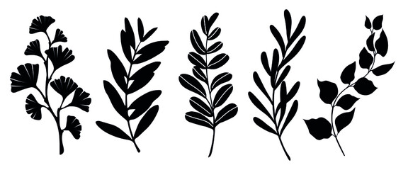 Set 4 of leaves silhouette of beautiful plants, leaves, plant design. Vector illustration