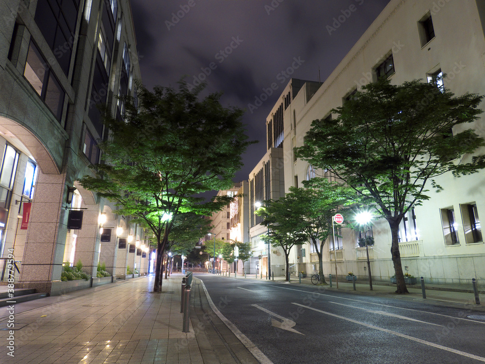 Canvas Prints 旧居留地夜景