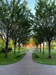alley in the park
