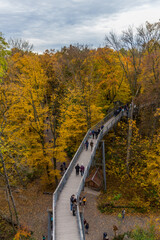 Herbstliche Stimmung im Nationalpark Hainich - Thüringen / Deutschland