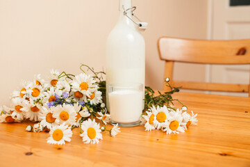 Simply stylish wooden kitchen with bottle of milk and glass on table, summer flowers camomile, healthy foog moring concept