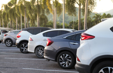 Closeup of rear or back side of white car and other cars parking in outdoor parking lot with natural background. 