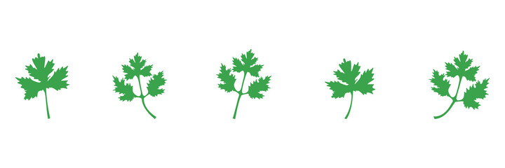Coriander green icon set. Parsley leaves vector illustration isolated on white. Cilantro symbol collection.