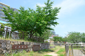 花隅公園