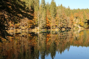 Autumn in the Fusine lakes Natural Park, Italy