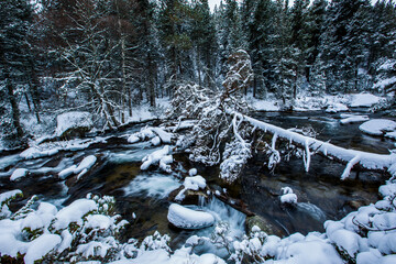 Winter river in Capcir, Cerdagne, Pyrenees, France
