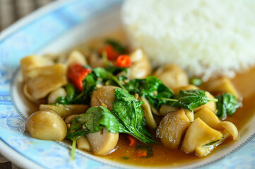 Stir Fried Basil with straw mushroom,vegetarian food, practice vegetarianism