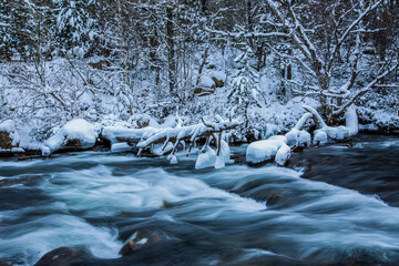 Winter river in Capcir, Cerdagne, Pyrenees, France