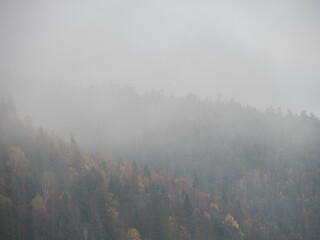 Naklejka na ściany i meble autumn fog in the mountain forest