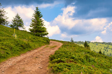 Scenic mountain road with amazing panoramic view of national park Kopaonik - famous ski resort in Serbia