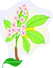 Illustration of flower plant