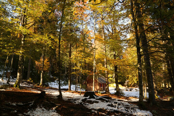 Autumn in the Fusine lakes Natural Park, Italy