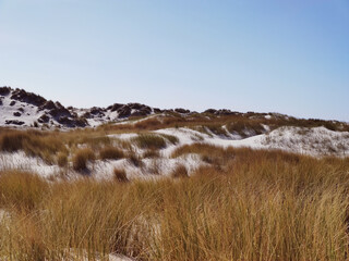 Photo of dunes and white sand beach at Baltic sea