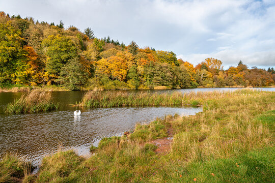 Hen Poo Lake, Duns, Scotland