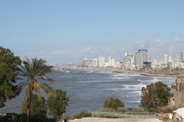 Traveling around the Israeli West Bank wall in Bethlehem and the ruins of Masada and mountains of Golan Heights