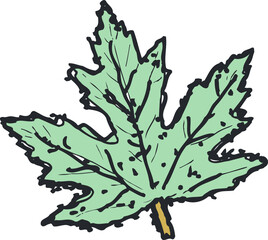 green oak leaf