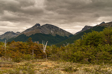 Ushuaia, Tierra del Fuego, Argentina - December 13, 2008: Martial Mountains in Nature Reserve. Wide landscape of green forest and dry grassland in front of snowy mountains under thick brown cloudscape