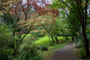 Isolated weathered bench surrounded by fall colors.