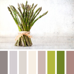 Tied asparagus palette