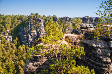 Sächsische Schweiz Bastei 