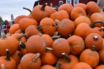 A pile of pumpkins for sale