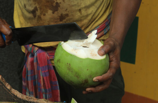NEW DELHI, INDIA - Oct 29, 2020: A man preparing fresh Coconut for sale in the local street market during coronavirus COVID-19. He start his day early morning.