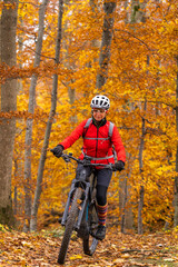 Fototapeta na wymiar sympathetic active senior woman, riding her electric mountainbike in the gold colored autumn forests of the Swabian Alb