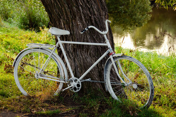 Fototapeta premium An old white Bicycle near a tree in a summer Park.
