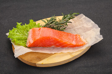 Piece of raw salmon