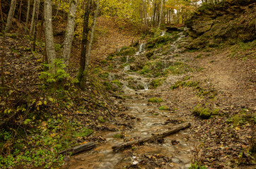 Autumn forest, many fallen leaves, waterfall