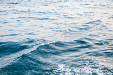 Naklejka premium 早朝の館山湾