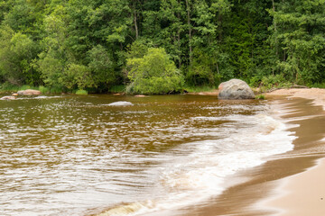 the coast of a natural reservoir,the sea with brown stones, sand, running waves against the background of a forest with green trees are beautiful