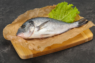 Raw Dorada fish  for cooking