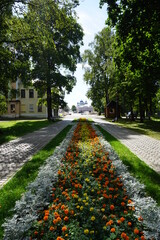 alley with flowers in summer in Uglich. Russia