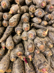Black or purple carrots for sale in supermarket or farmers market.