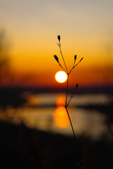 sunset on the beach