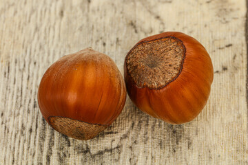 Two ripe tasty Whole hazelnut